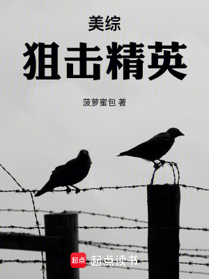  美综：狙击精英