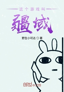  这个游戏叫疆域